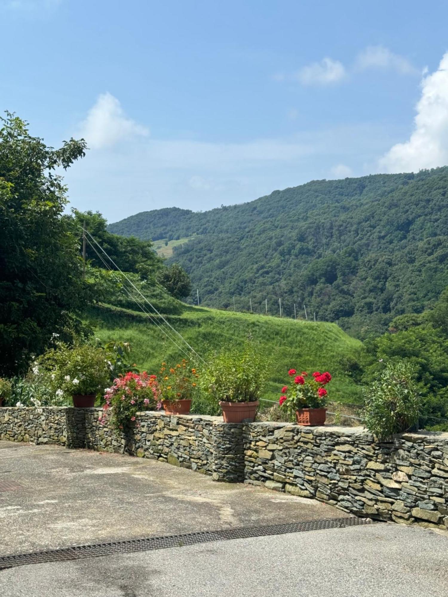 B&B Al Ciliegio Del Turchino Mele Exterior photo